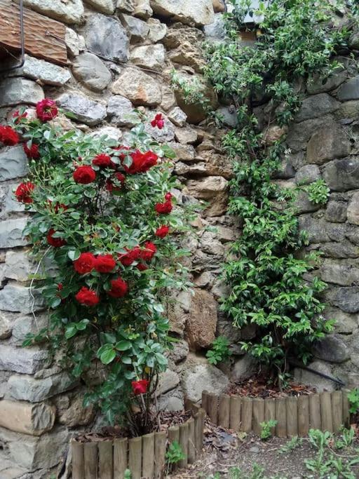 Villa La Borda De Sesué Exterior foto